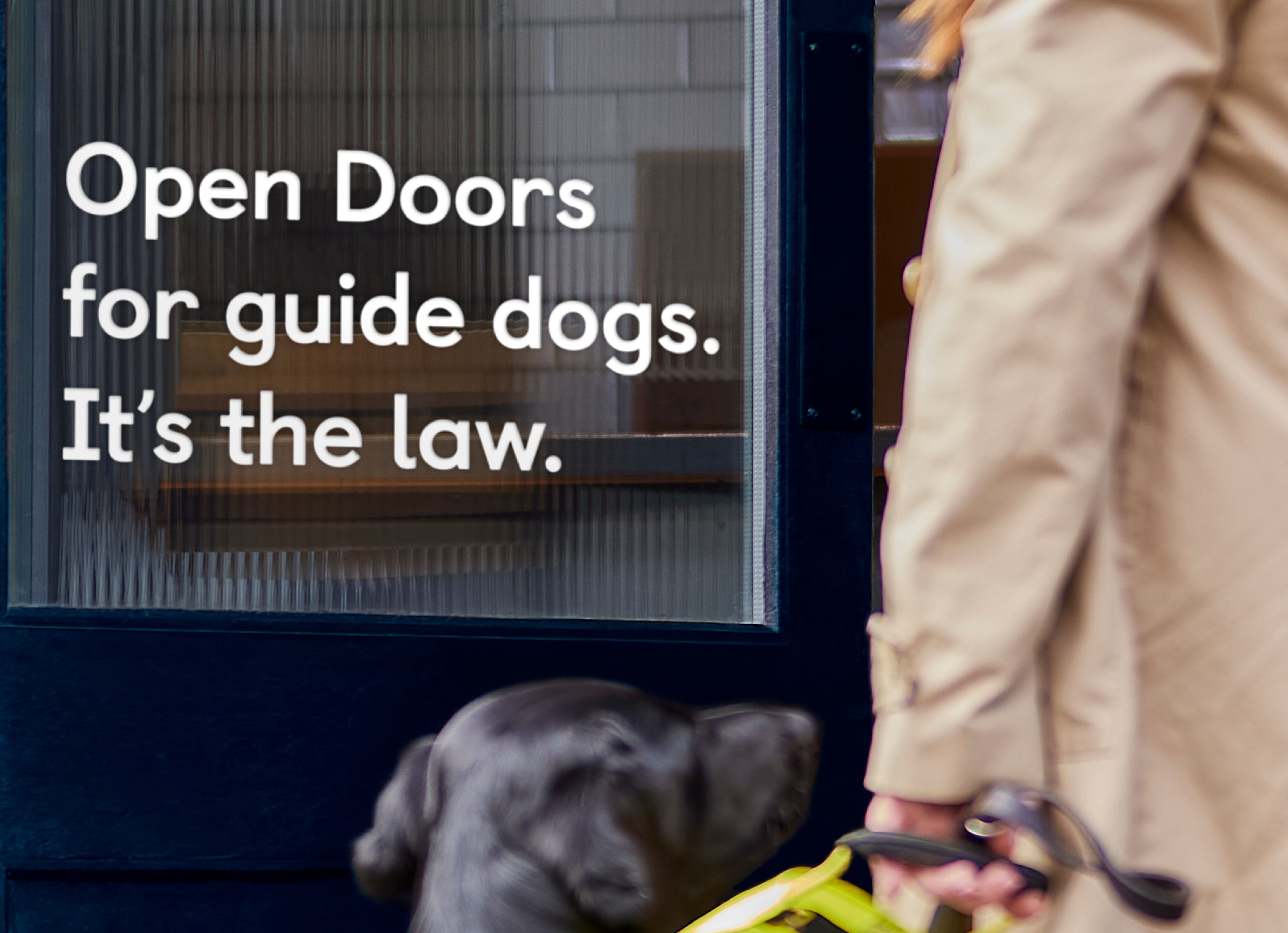 The arm of a person holding a Guide Dog lead and harness, with the words: open doors for guide dogs. It's the law