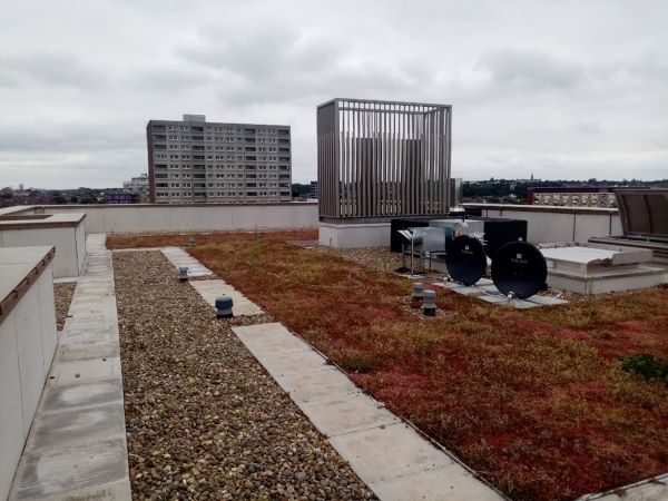 Roof view of District Heat Network in South Kilburn