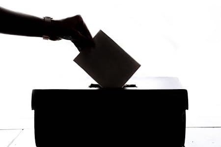 image of someone voting