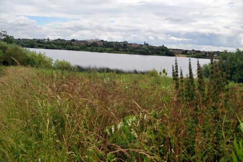 View river in Welsh Harp