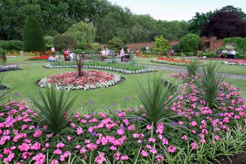 Gladstone park flowers