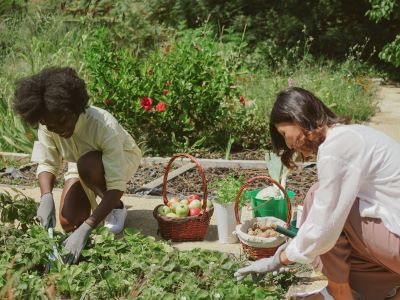 Two women gardening