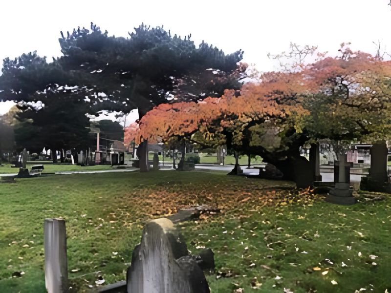 Paddington Old Cemetery