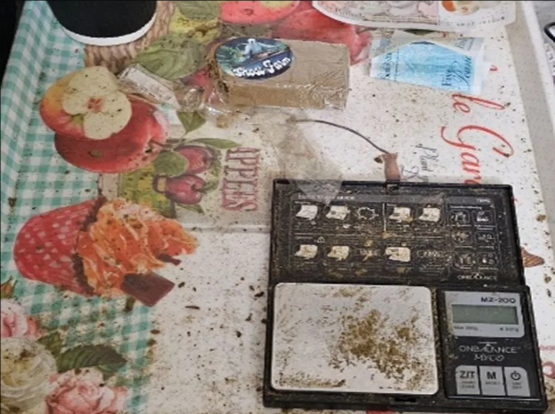 Seized Drugs