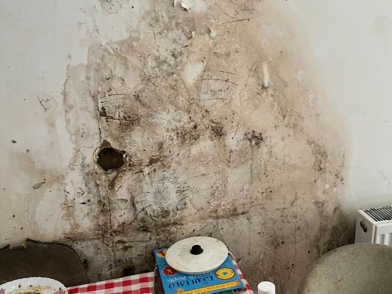 Mouldy walls