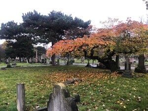 Paddington Old Cemetery