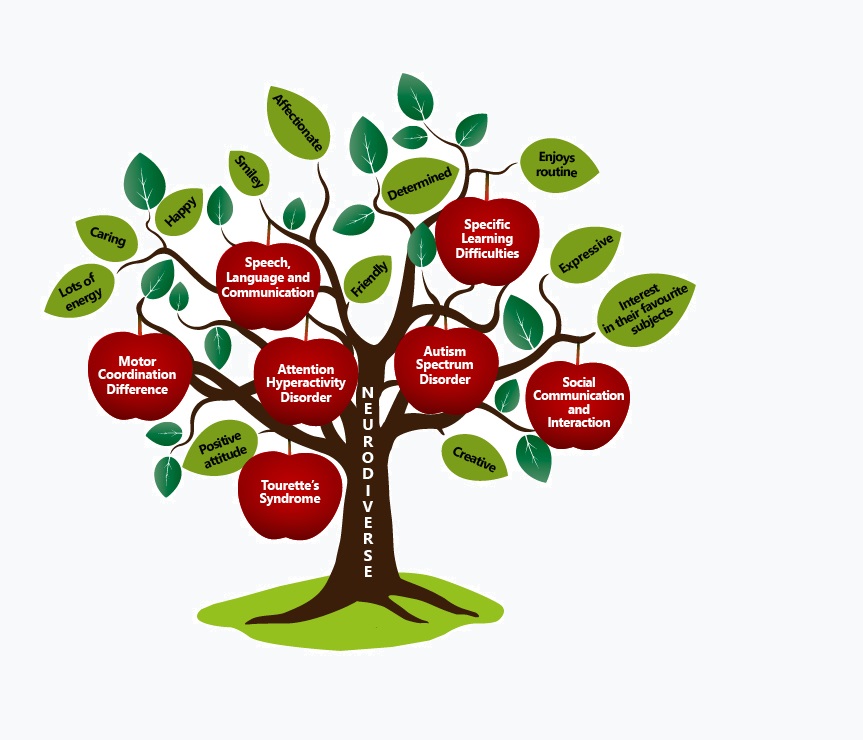 neurodiversity - apple tree showing an apple tree where the apples have the words: Autism Spectrum Disorder (ASD), Attention Deficit Hyperactivity Disorder (ADHD) Motor coordination differences, Speech, language and communication, Specific learning difficulties, and Tourette’s Syndrome. The leaves have encouraging words such as caring, happy and friendly.