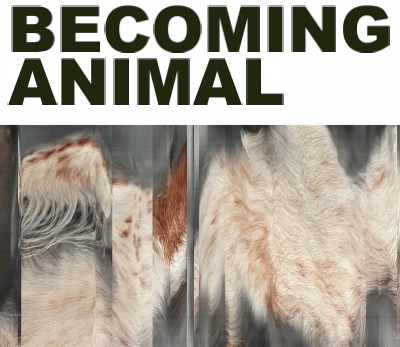 Exhibition artwork - Becoming Animal