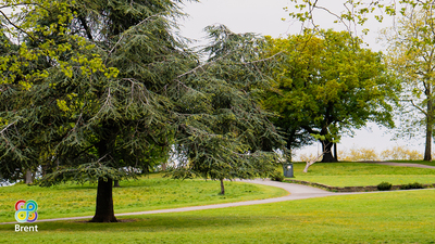 Green Neighbourhoods